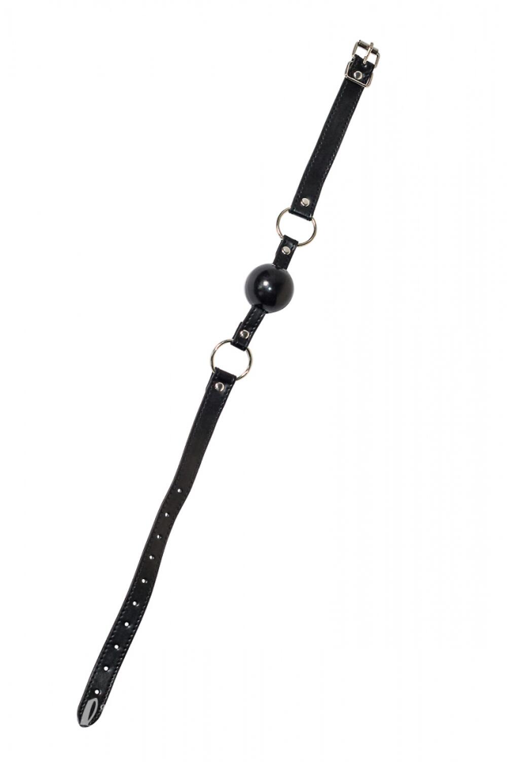 Фотография Кляп Party Hard Love Addict Black